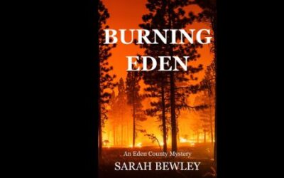Welcome to Debut Author Sarah Bewley